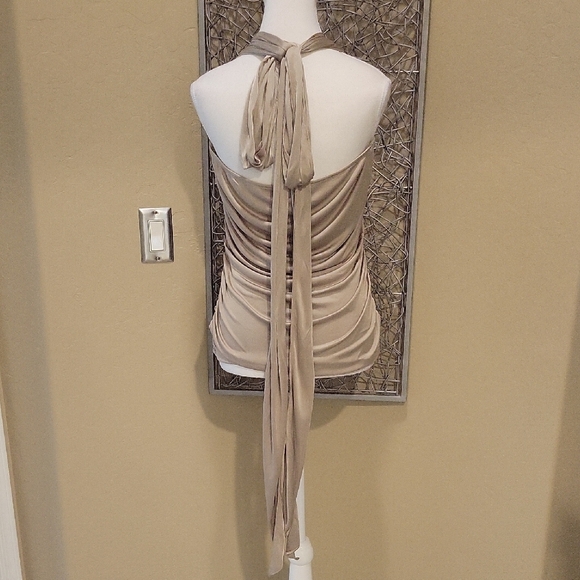 Moda International Tops - Moda International Taupe Gold Ruched Halter with Extra-Long Convertible Tie